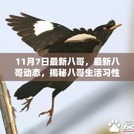 评价 第627页