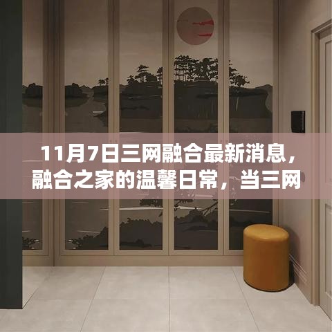 案例 第598页