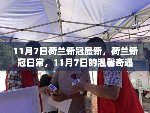 评价 第623页