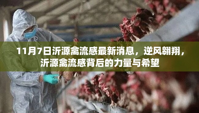 条款 第612页