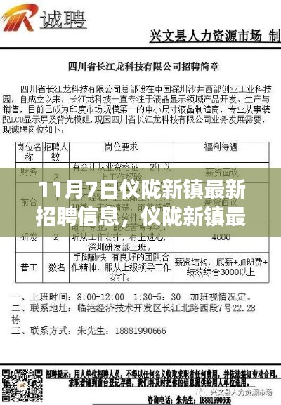 案例 第593页
