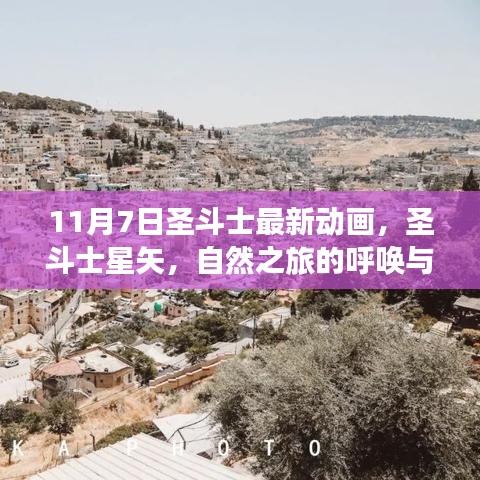 条款 第611页