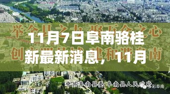 产品 第621页