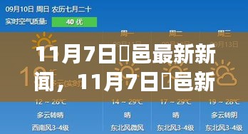 案例 第590页