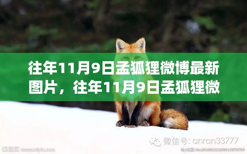 条款 第601页