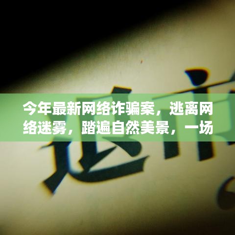 悠然自得 第47页