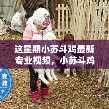 废寝忘食 第43页