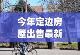 肝胆相照 第44页