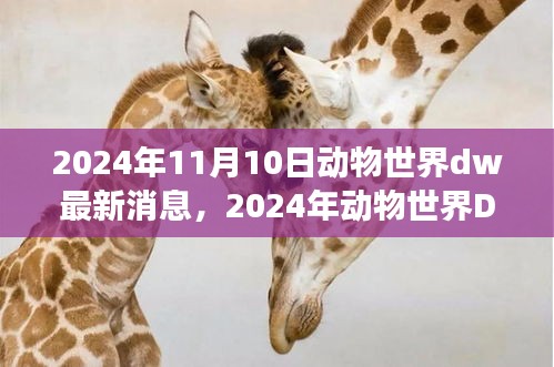 垂头丧气 第43页