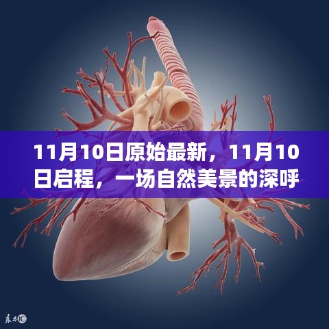 悠然自得 第45页