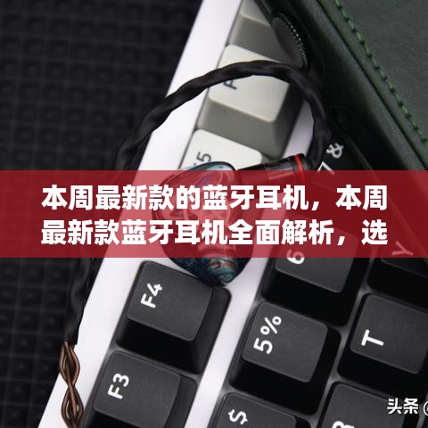 花开无言 第37页