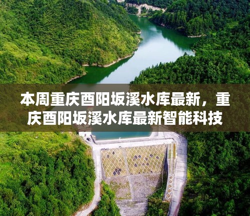 森久 第41页