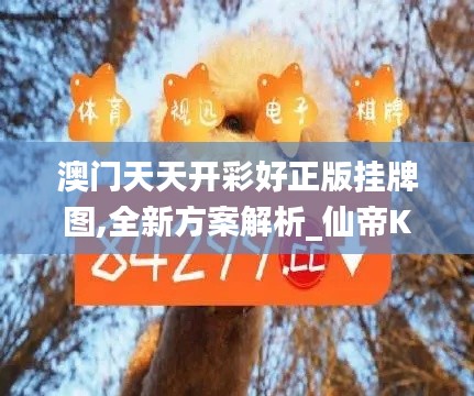 sideiqisuo 第21页