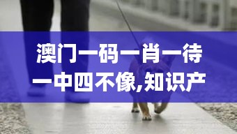 眉开眼笑 第40页