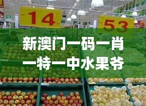niaogehuifei 第20页