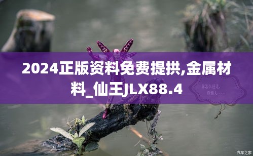 bupiwaqi 第19页