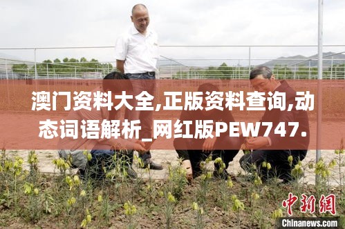 张牙舞爪 第32页