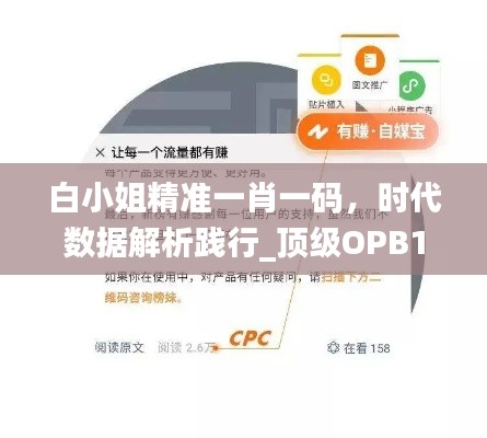 yuanfeiyuyue 第13页