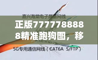 feiqiandongzhi 第16页