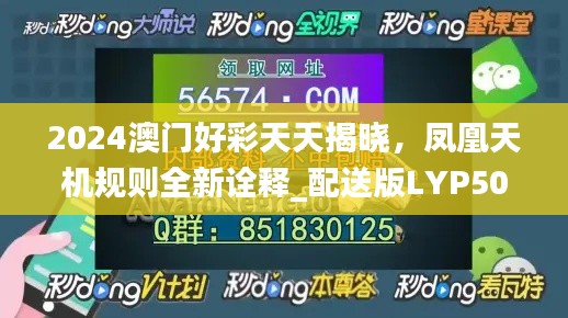 案例 第335页