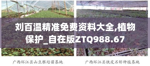 眉开眼笑 第32页