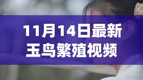 没精打采 第27页