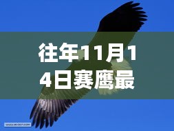 走马观花 第28页
