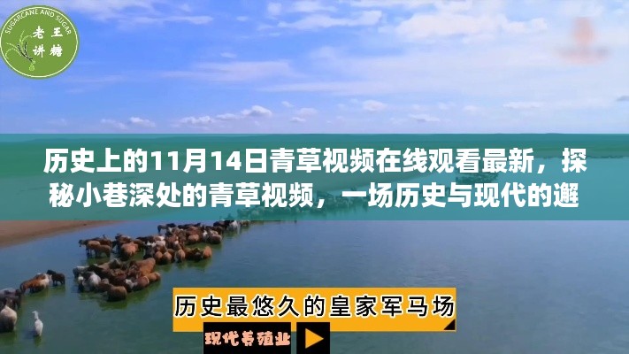 容光焕发 第26页