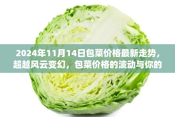 容光焕发 第25页