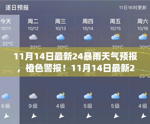 风驰电掣 第28页