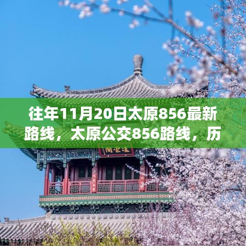张牙舞爪 第21页