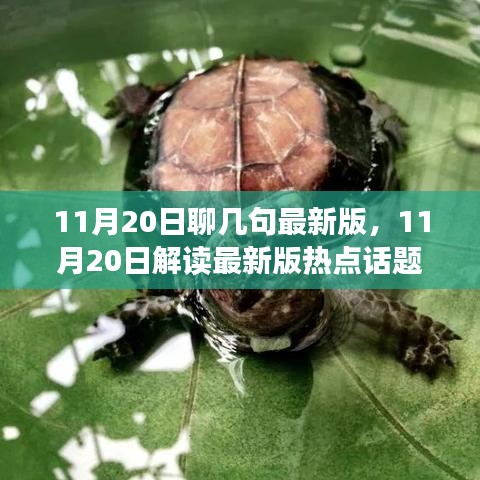 风驰电掣 第26页