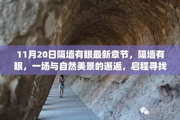 目不转睛 第22页
