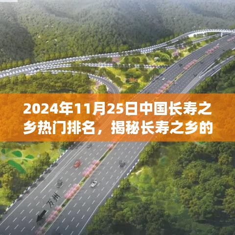风驰电掣 第23页