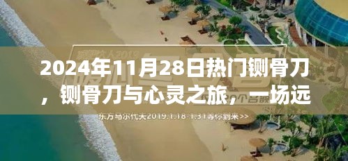 产品 第270页