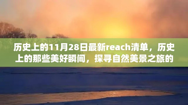 九死一生 第19页