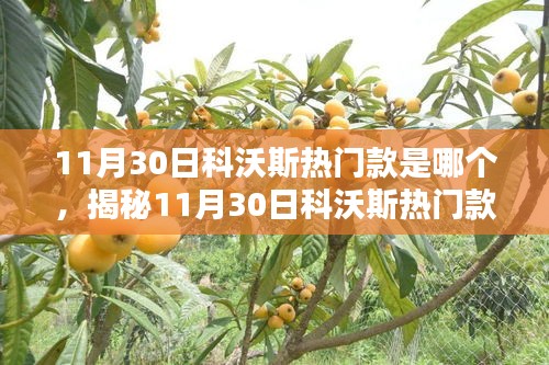 手舞足蹈 第19页
