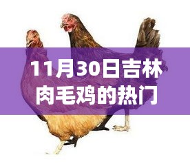 心急如焚 第13页