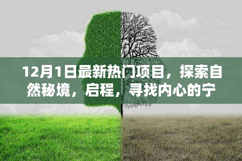 回眸最初 第17页