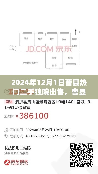 走马观花 第17页