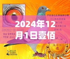 肝胆相照 第14页