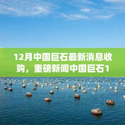 花开无言 第12页
