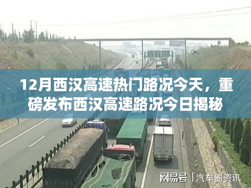 初告白 第14页