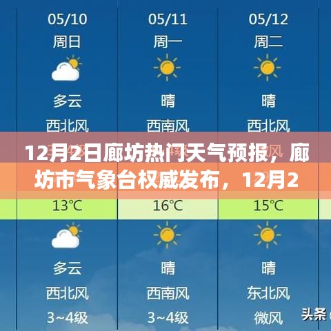 花开无言 第11页