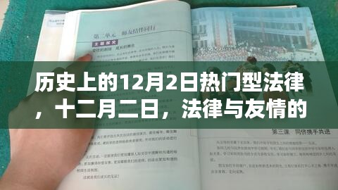 肝胆相照 第13页
