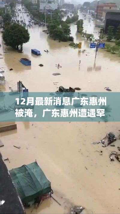 心急如焚 第11页