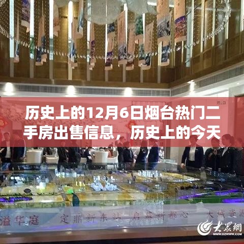 橘虞初梦 第11页