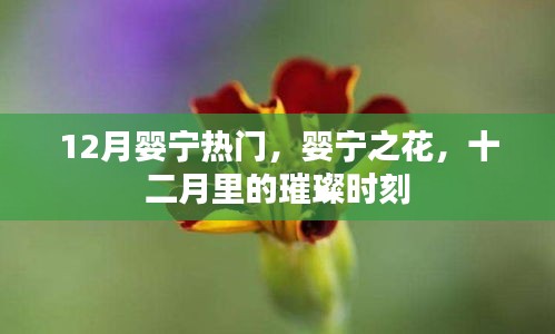 江南烟雨断桥殇 第11页