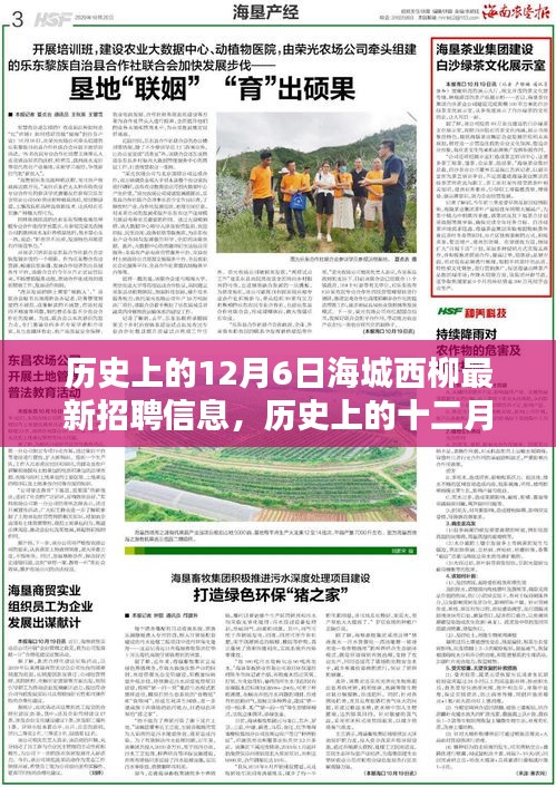 feiqiandongzhi 第13页