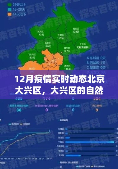 danpiaolouxiang 第10页